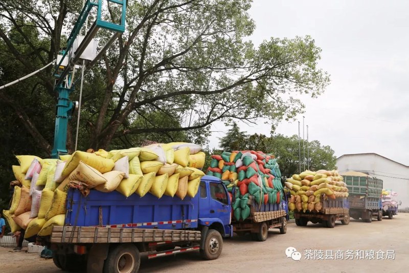 警惕粮食货运中的常见误区