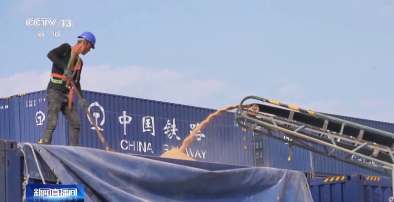 粮食货运
