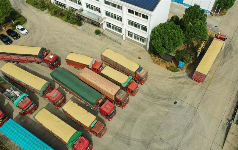 绥棱粮车：让智慧农业走进农田的每寸土地